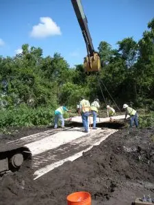 megadeck_myrmatter56